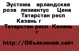 Эустома ( ирландская роза, лизиантус) › Цена ­ 200 - Татарстан респ., Казань г.  »    . Татарстан респ.,Казань г.